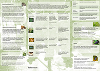 Wine Poster Information Sheet